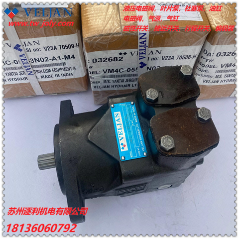 VELJAN維京葉片泵VT6B-B09-5R01-D4-03油泵雙聯(lián)泵VT6CY-005-1R02-B1